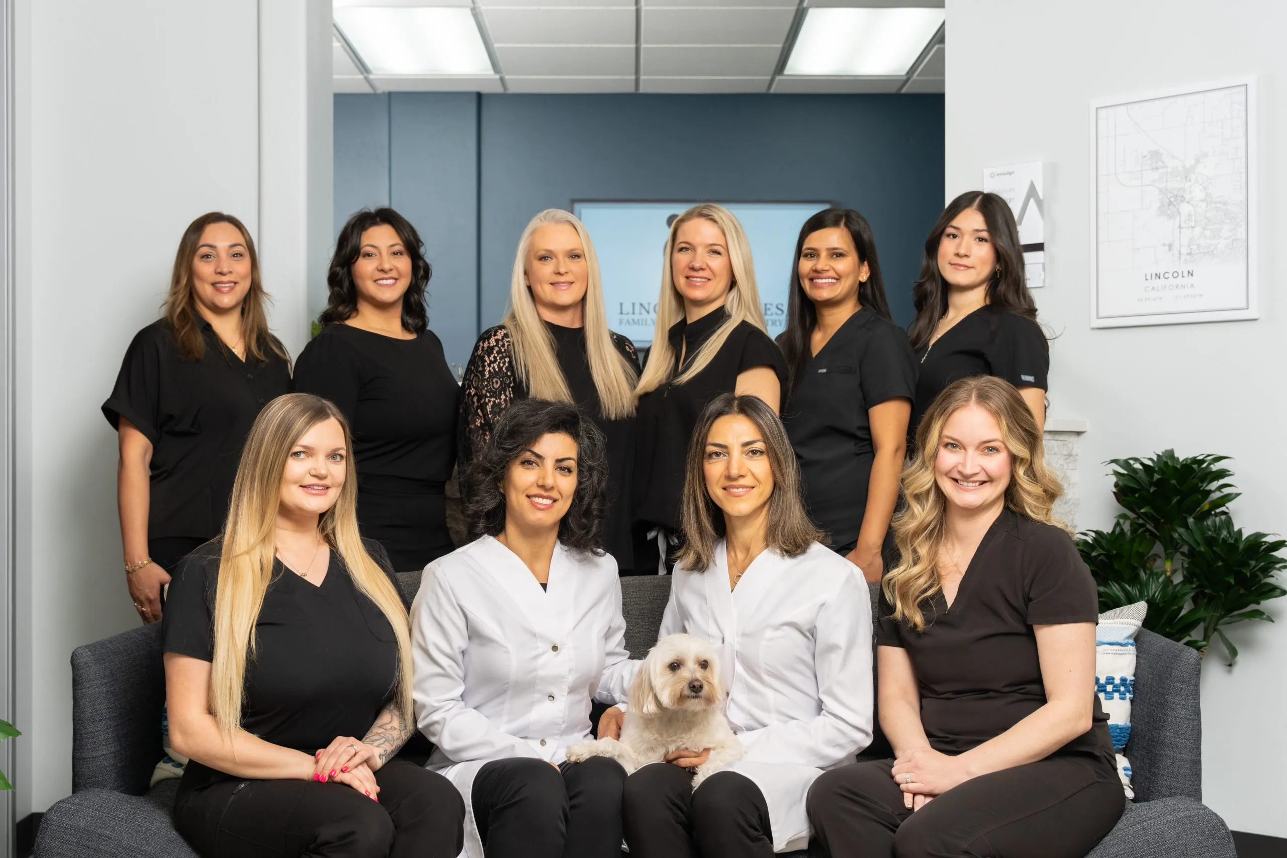 The Lincoln Smiles Dental team